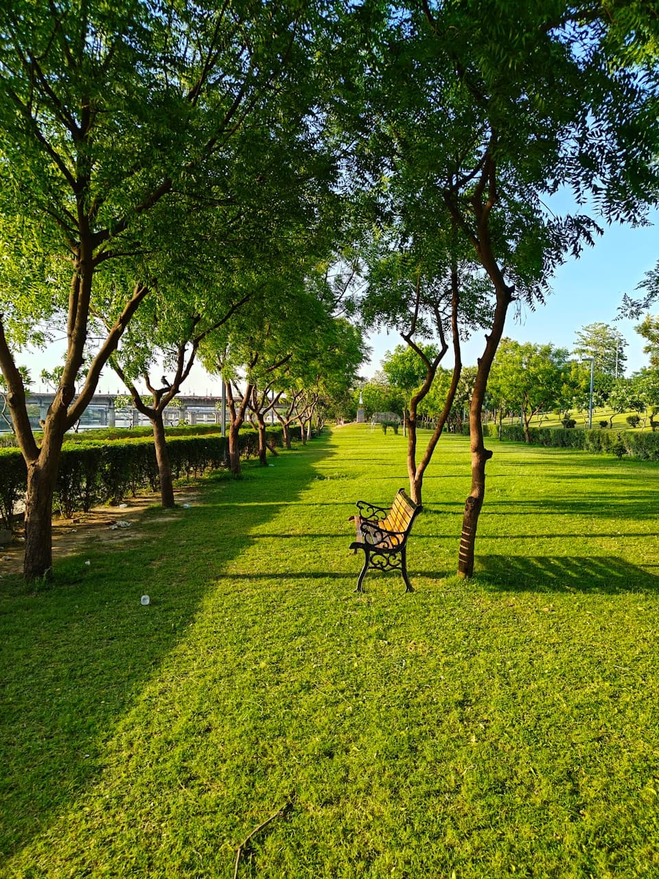 IL Bayou landscaped open spaces with mature trees and lawns