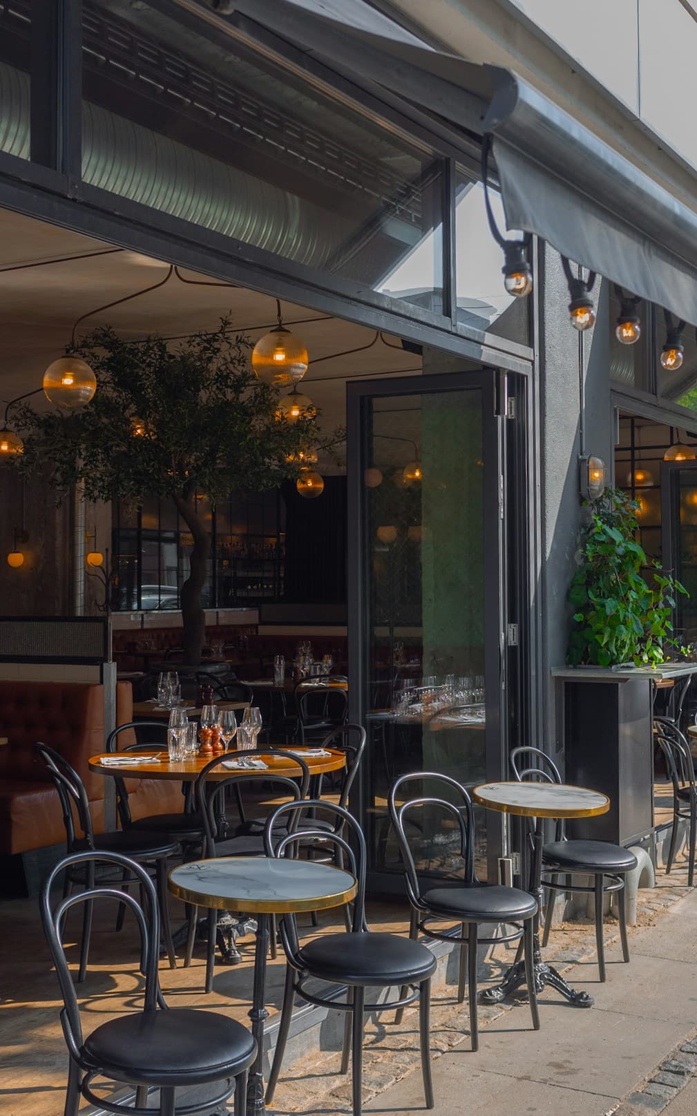 Armonia cafes with warm pendant lighting and relaxed seating